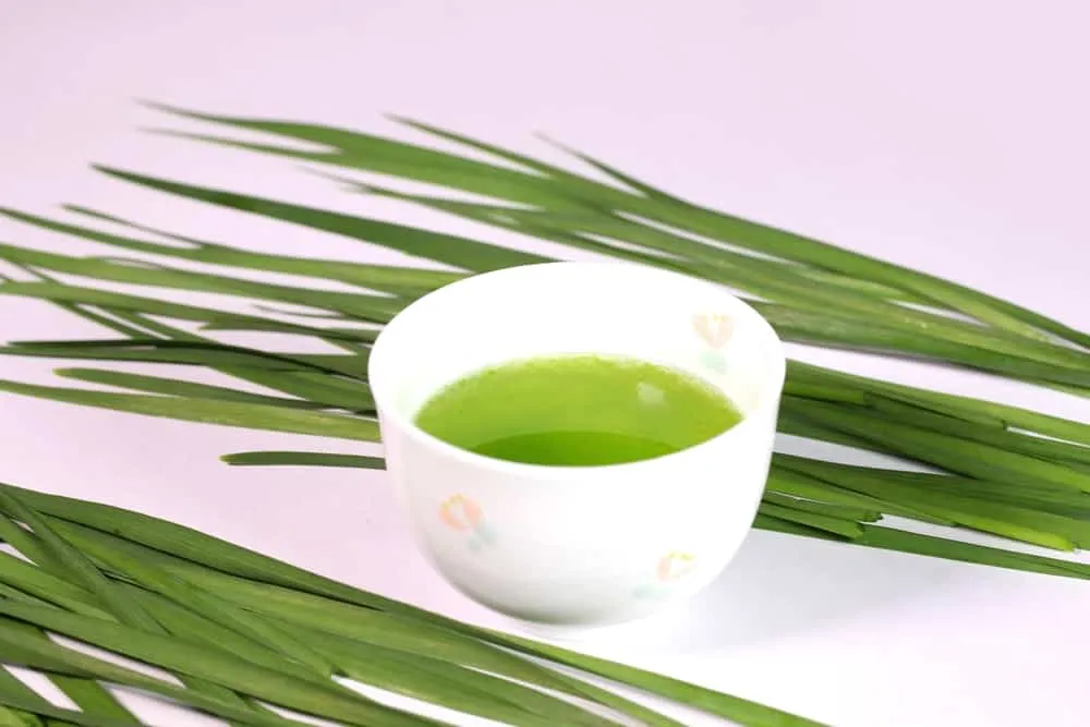 Bị ho nên uống gì: Uống nước lá hẹ