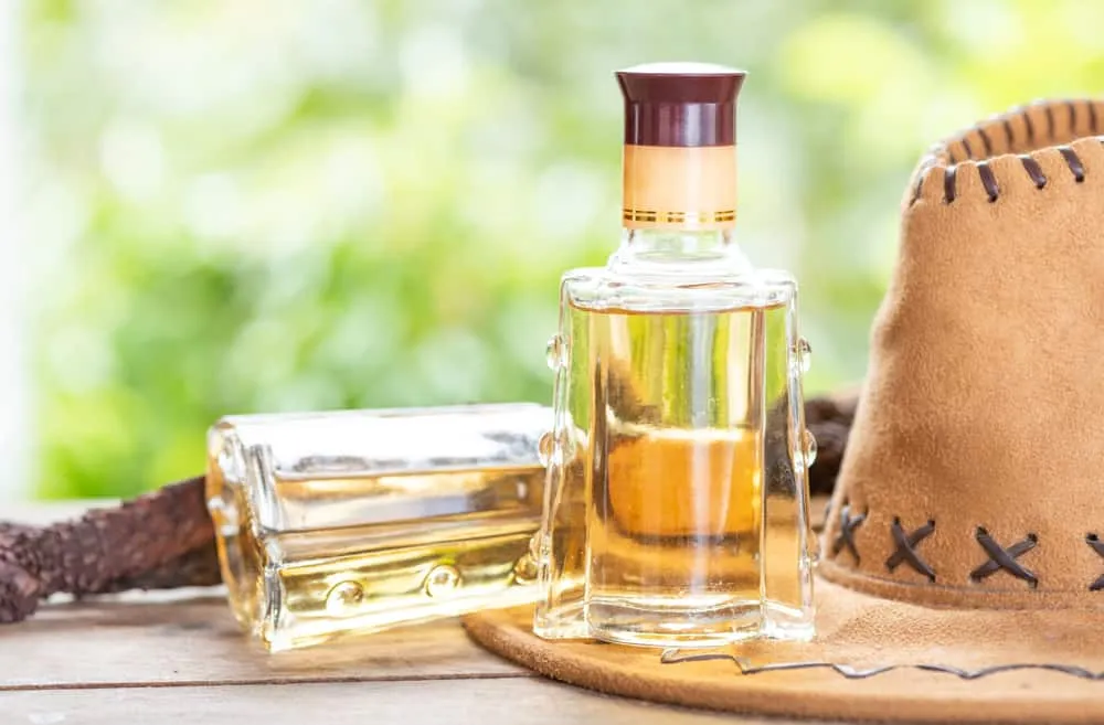 nhục thung dung ngâm rượu