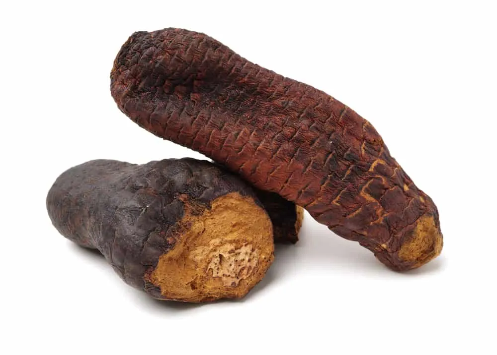 tác dụng của nhục thung dung