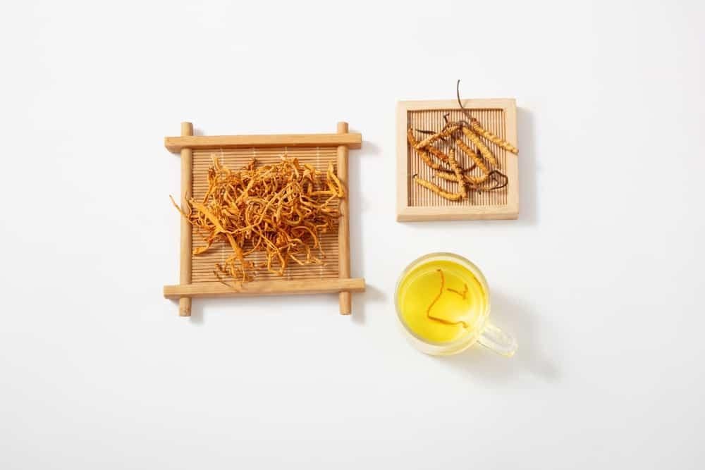 cách pha trà đông trùng hạ thảo tươi