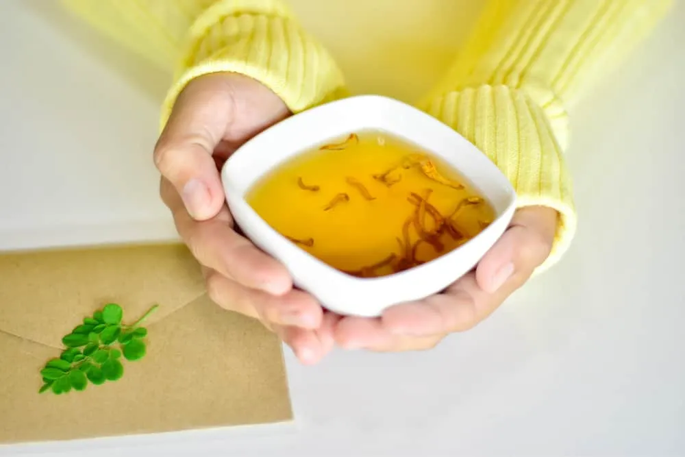 cách pha trà đông trùng hạ thảo hoa cúc