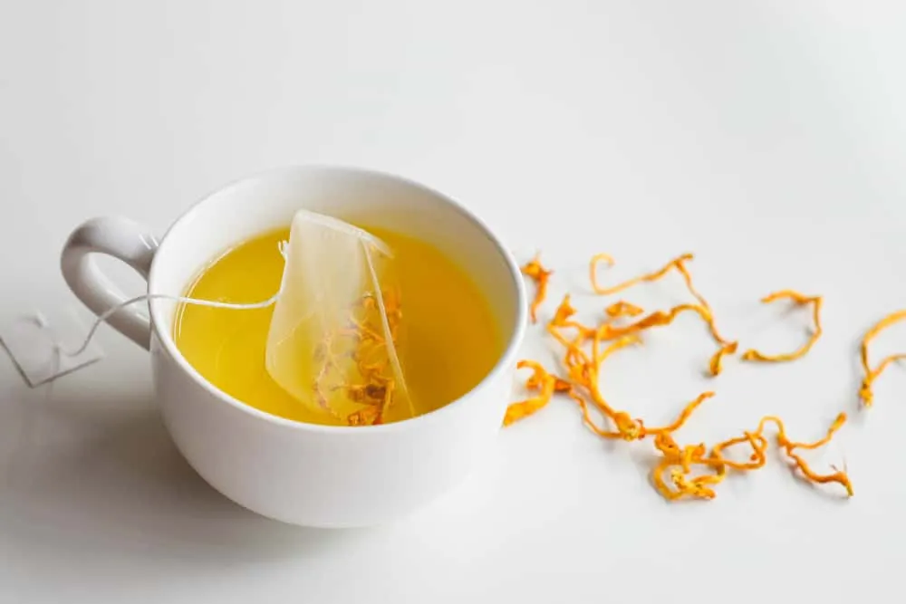 cách pha trà túi lọc đông trùng hạ thảo