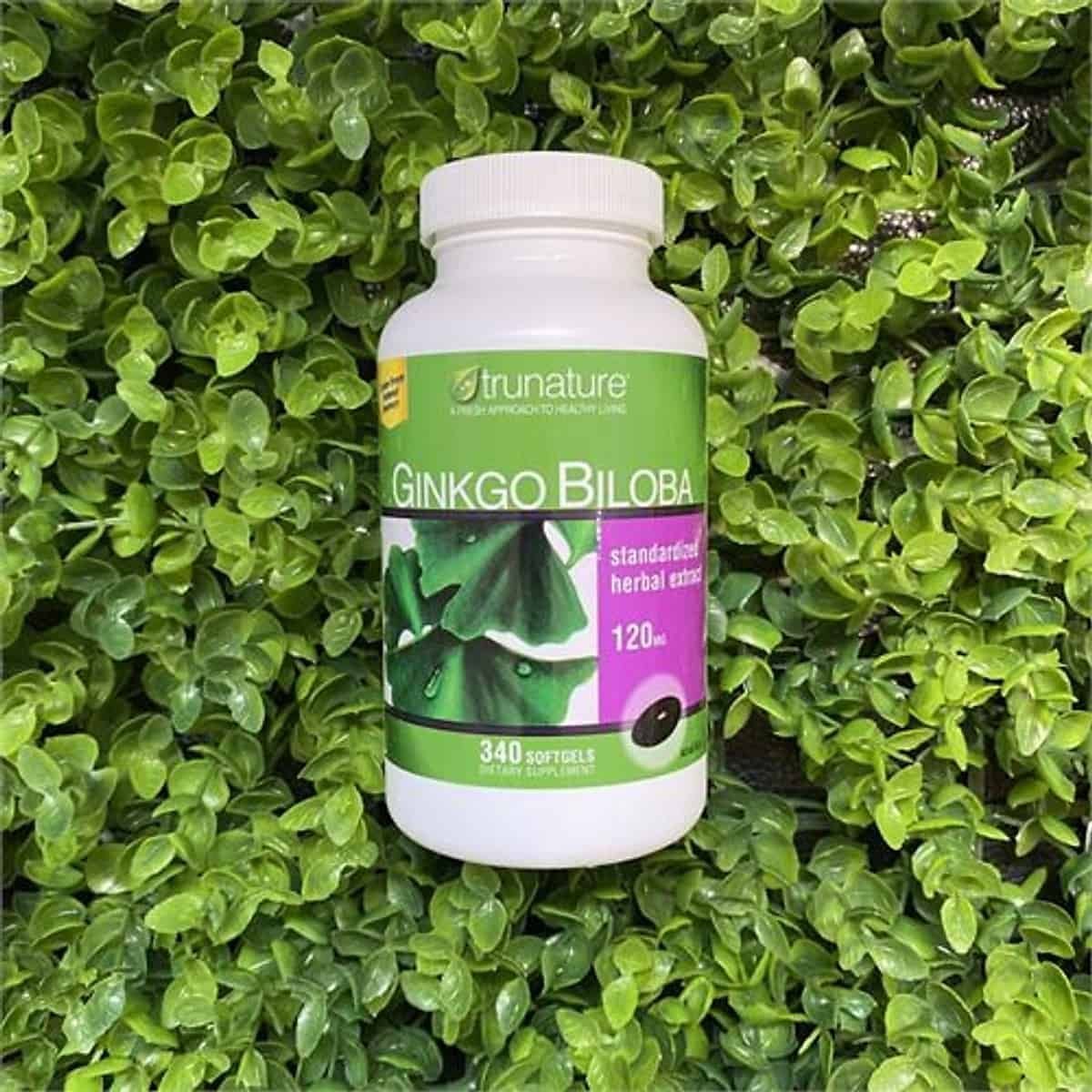 các loại thuốc hoạt huyết dưỡng não: ginkgo biloba trunature