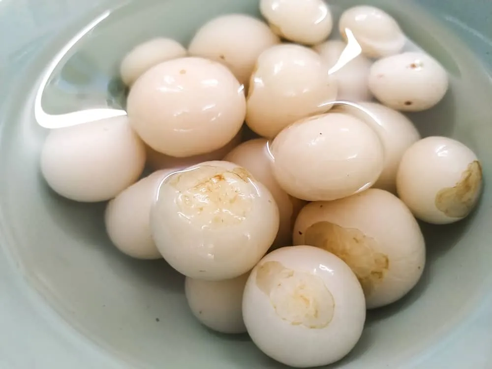 bà bầu ăn cà pháo được không