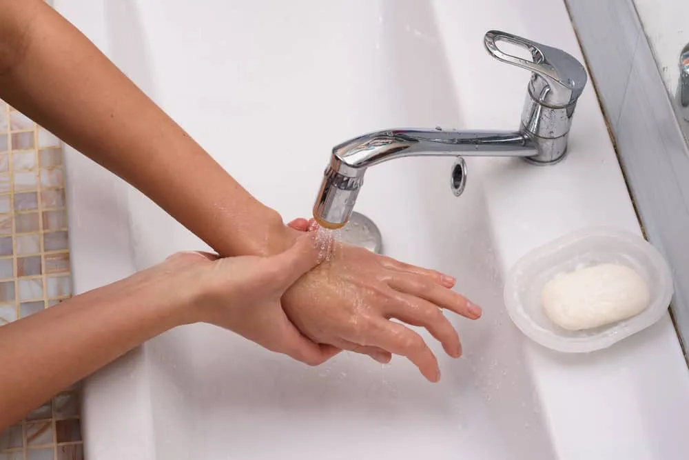 bị chó cắn không nên ăn gì: cần rửa sạch vết thương