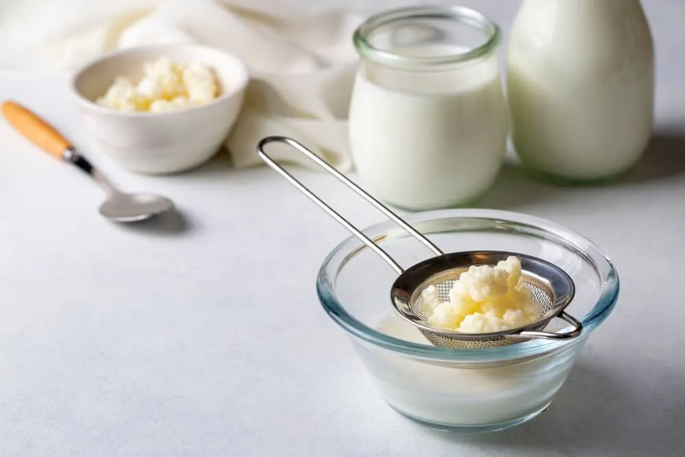 cách làm nấm kefir