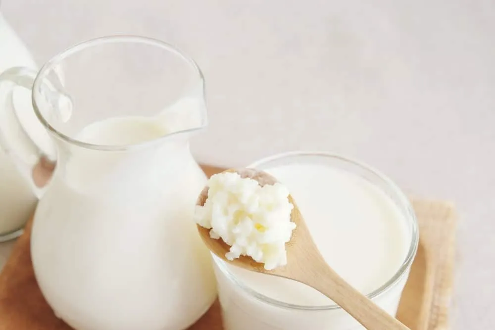 tác dụng nấm kefir