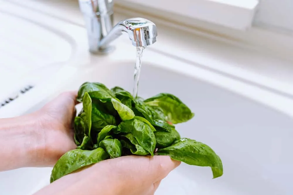 Trẻ nổi mẩn ngứa tắm lá gì?