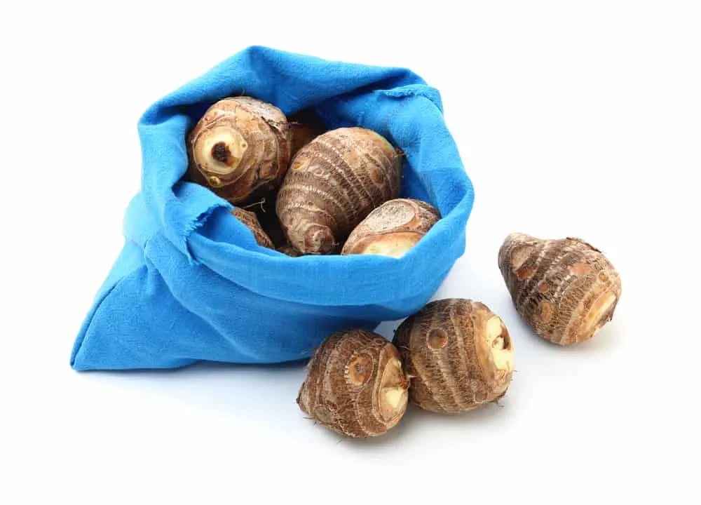 Tại sao gọt khoai sọ bị ngứa? 