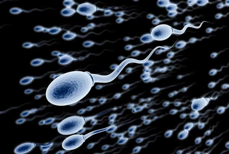 Dấu hiệu sắp hết tinh trùng - Tinh trùng có hết không?