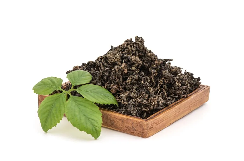 trà giảo cổ lam có tốt cho người tiểu đường?