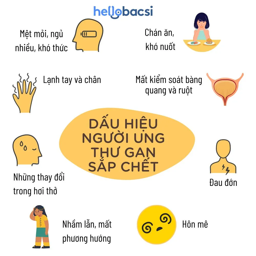 9 dấu hiệu người ung thư gan sắp chết info