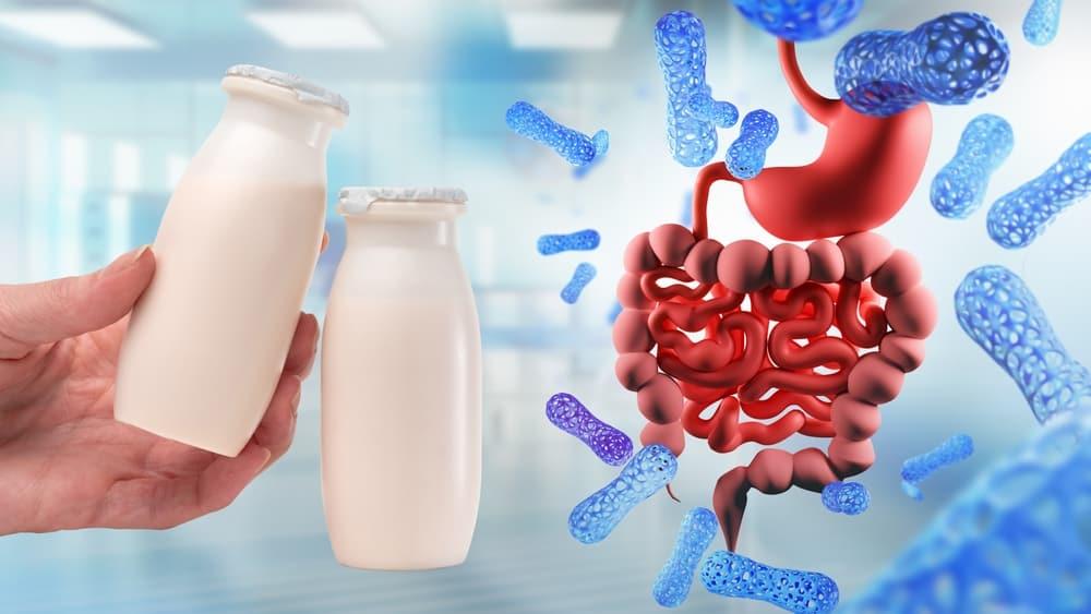 Ăn sữa chua có tác dụng gì