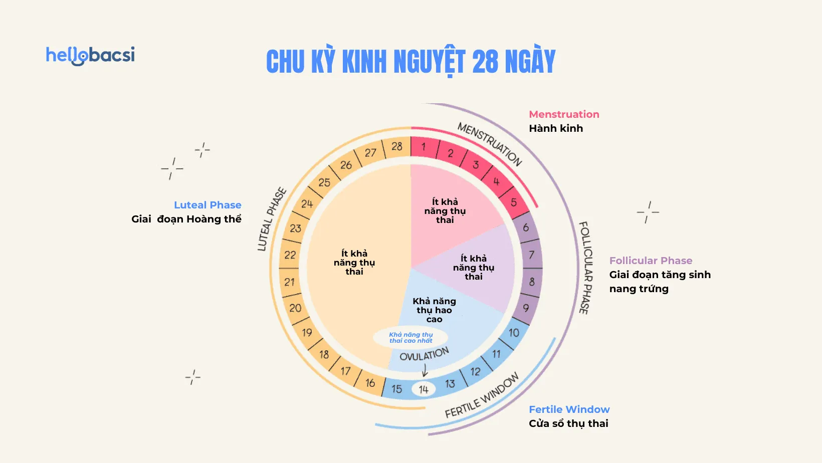 Cách tránh thai sau khi quan hệ không cần thuốc - Tính ngày an toàn