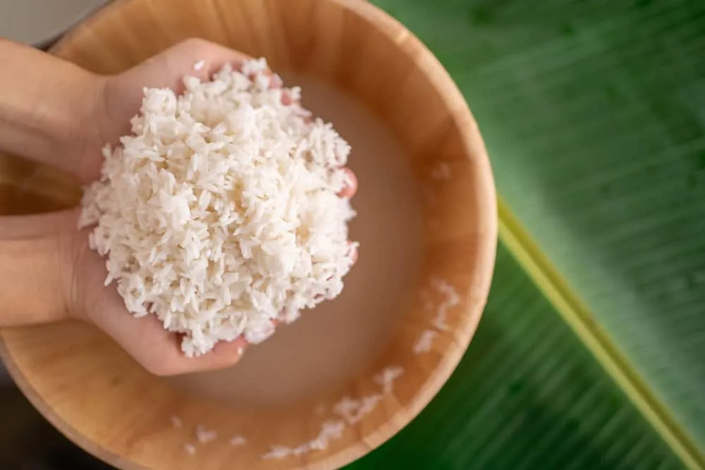 Ngâm nếp làm gà bó xôi