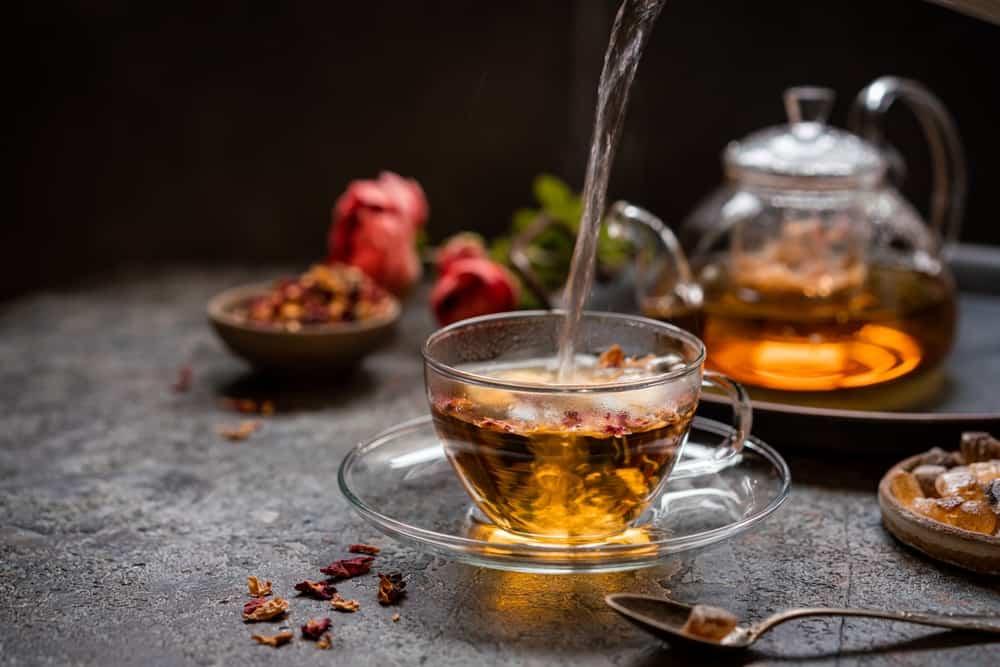 gan nhiêm mỡ nên uống nước lá gì: trà nhân trần