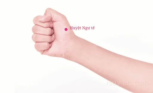 huyệt ngư tế