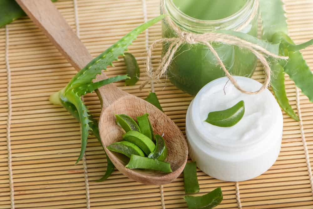 mặt nạ phục hồi da từ sữa chua và nha đam