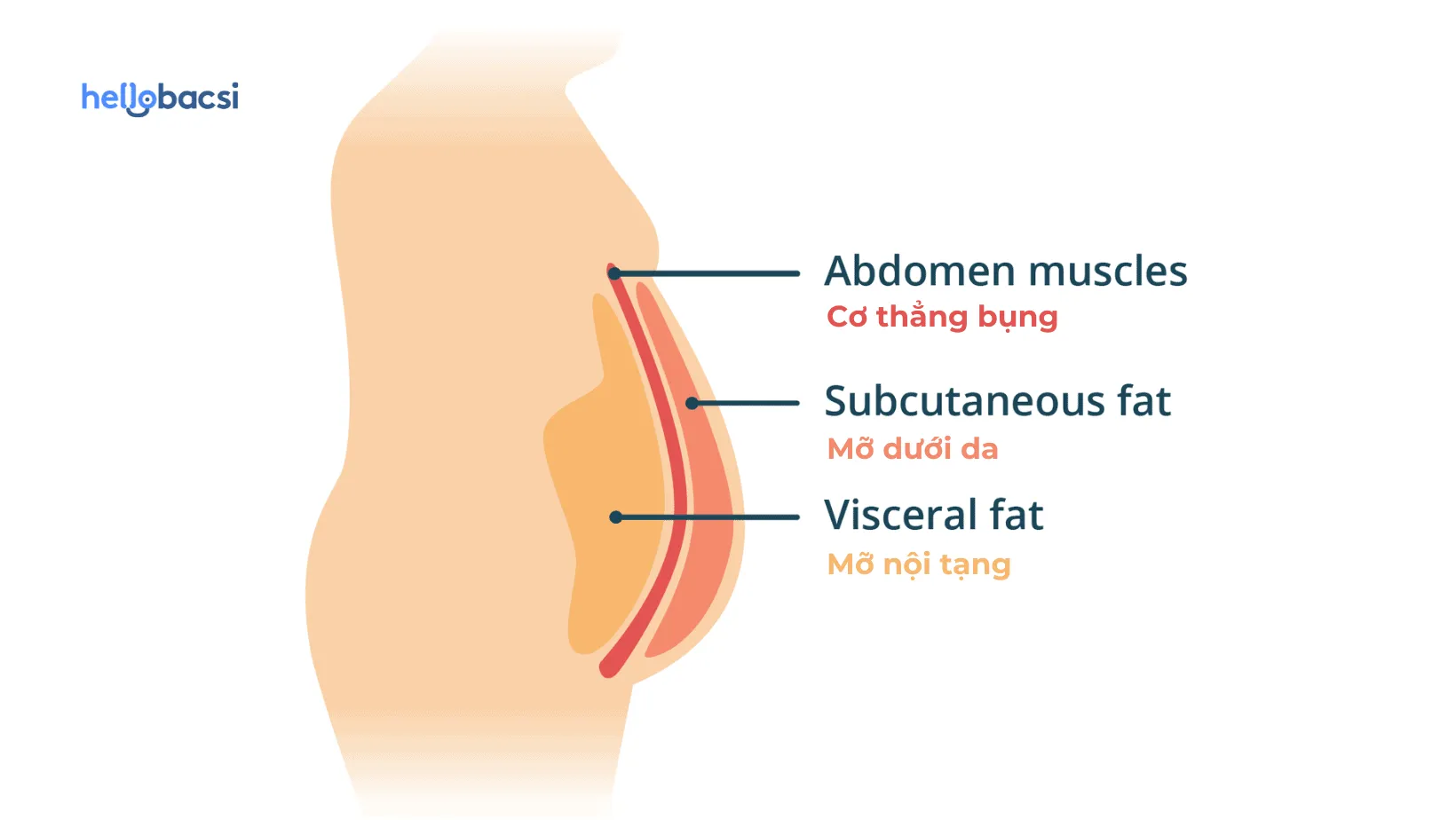 Cách làm giảm mỡ bụng dưới an toàn và lành mạnh