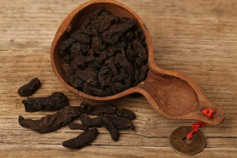 lưu ý khi dùng thục địa