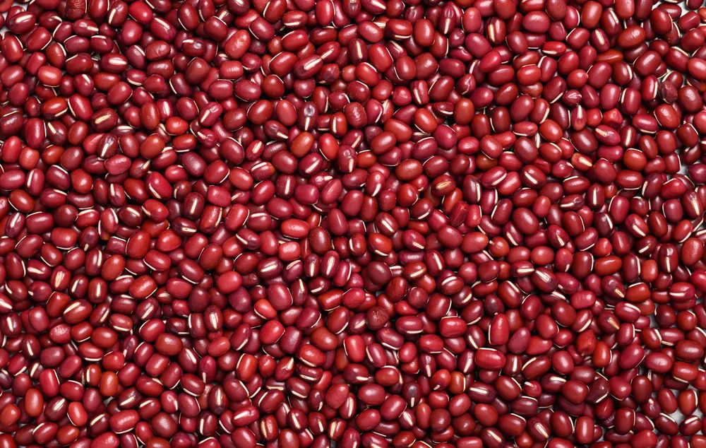 Mẹo dân gian chữa trẻ chậm nói bằng đậu đỏ