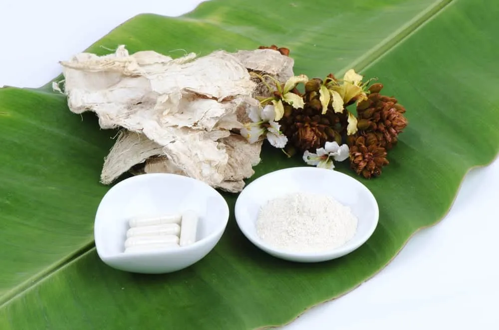 lưu ý khi dùng sâm tố nữ