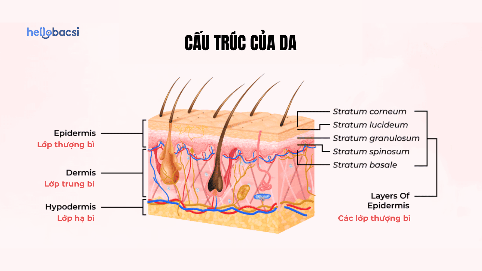 Nám chân sâu là tình trạng các vết nám ăn sâu xuống dưới vùng trung bì và hạ bì