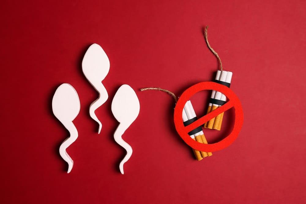 tác hại của thuốc lá lên tinh trùng