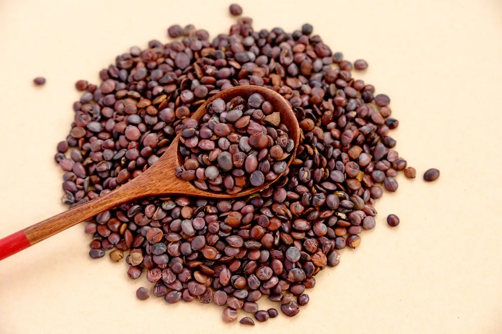 bài thuốc từ táo ta