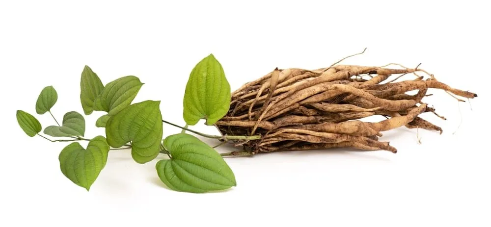 thành phần viên ngậm ho Bách Bộ