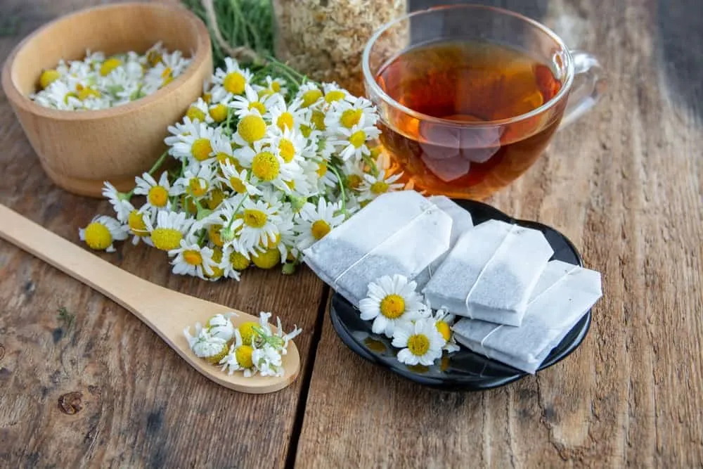 Đau dạ dày uống gì? Trà hoa cúc