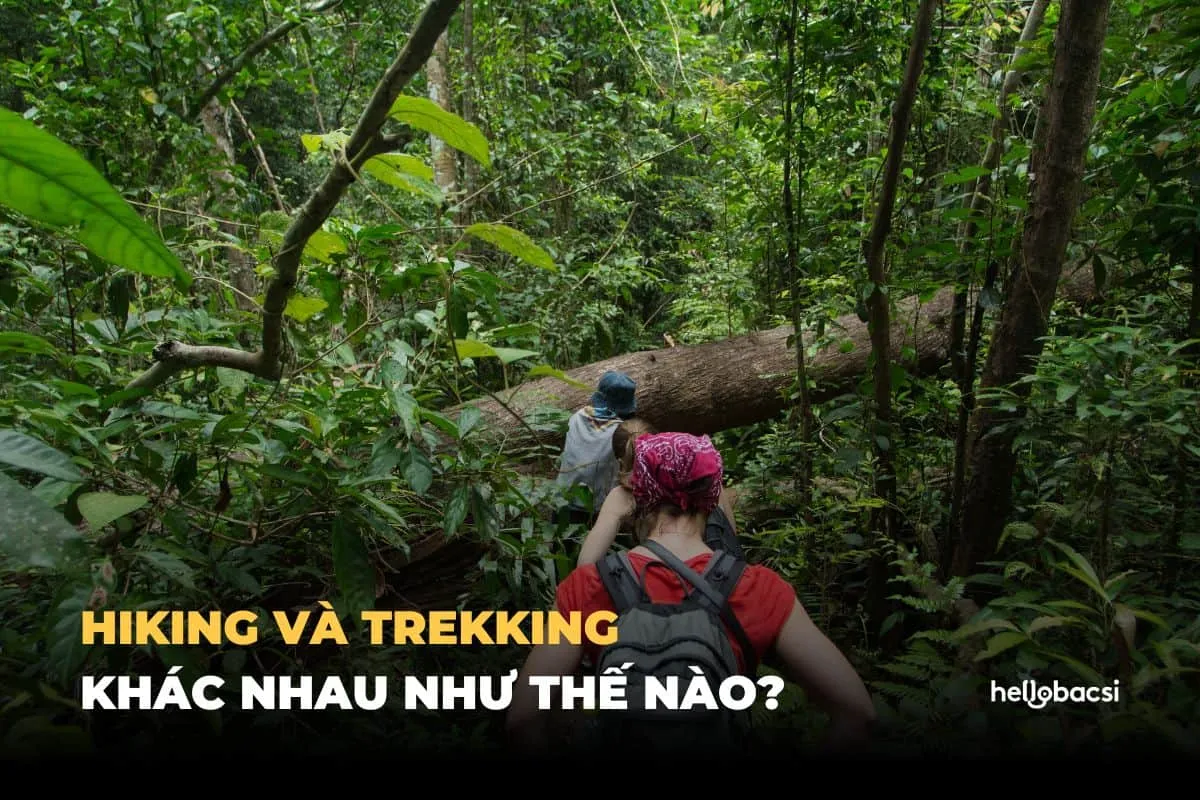 Hiking là gì? Hiking và Trekking khác nhau như thế nào?