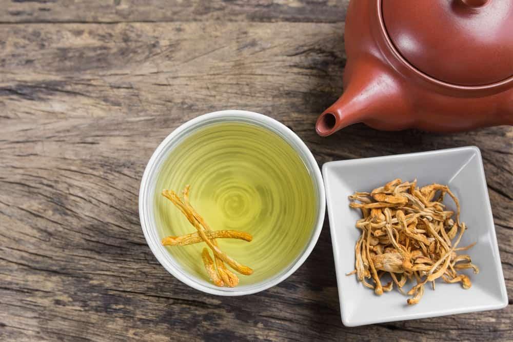 trà Đông trùng hạ thảo Thái Minh