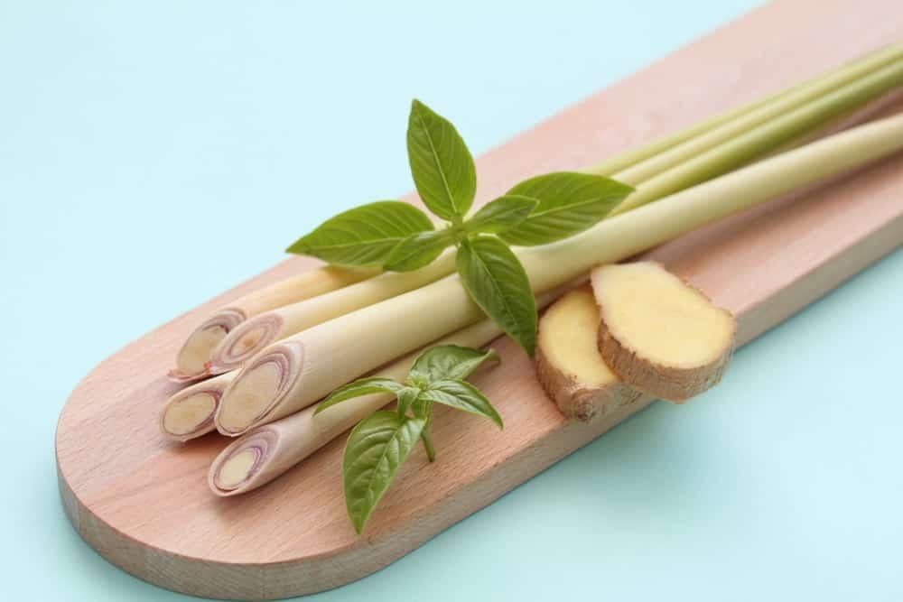 Nấu nước gừng sả tắm cho trẻ bị cảm lạnh