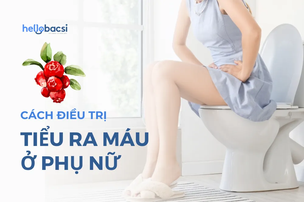 Cách điều trị đi tiểu ra máu ở phụ nữ bằng nam việt quất