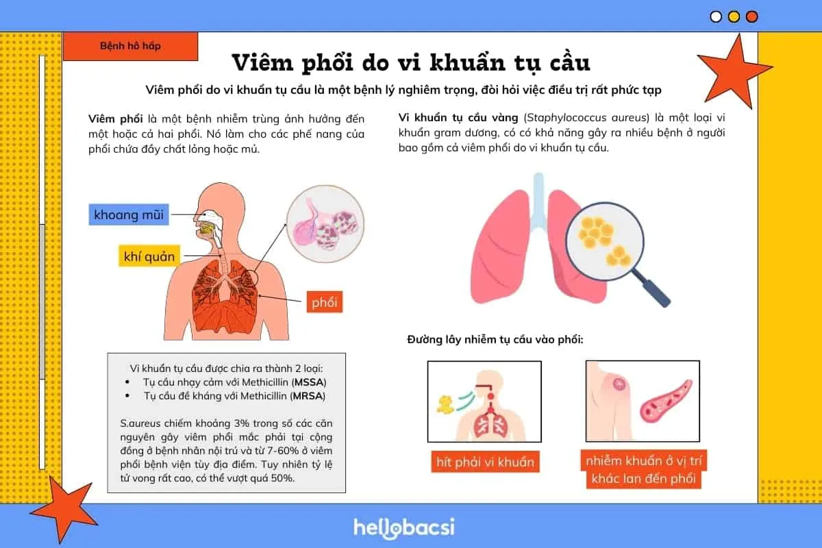 Viêm phổi do vi khuẩn tụ cầu định nghĩa, nguyên nhân
