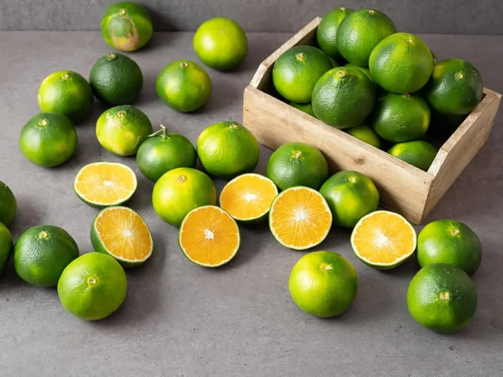 cách làm tắc ngâm đường phèn