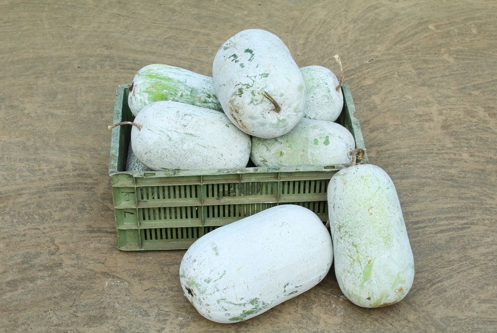 cách nấu trà bí đao 