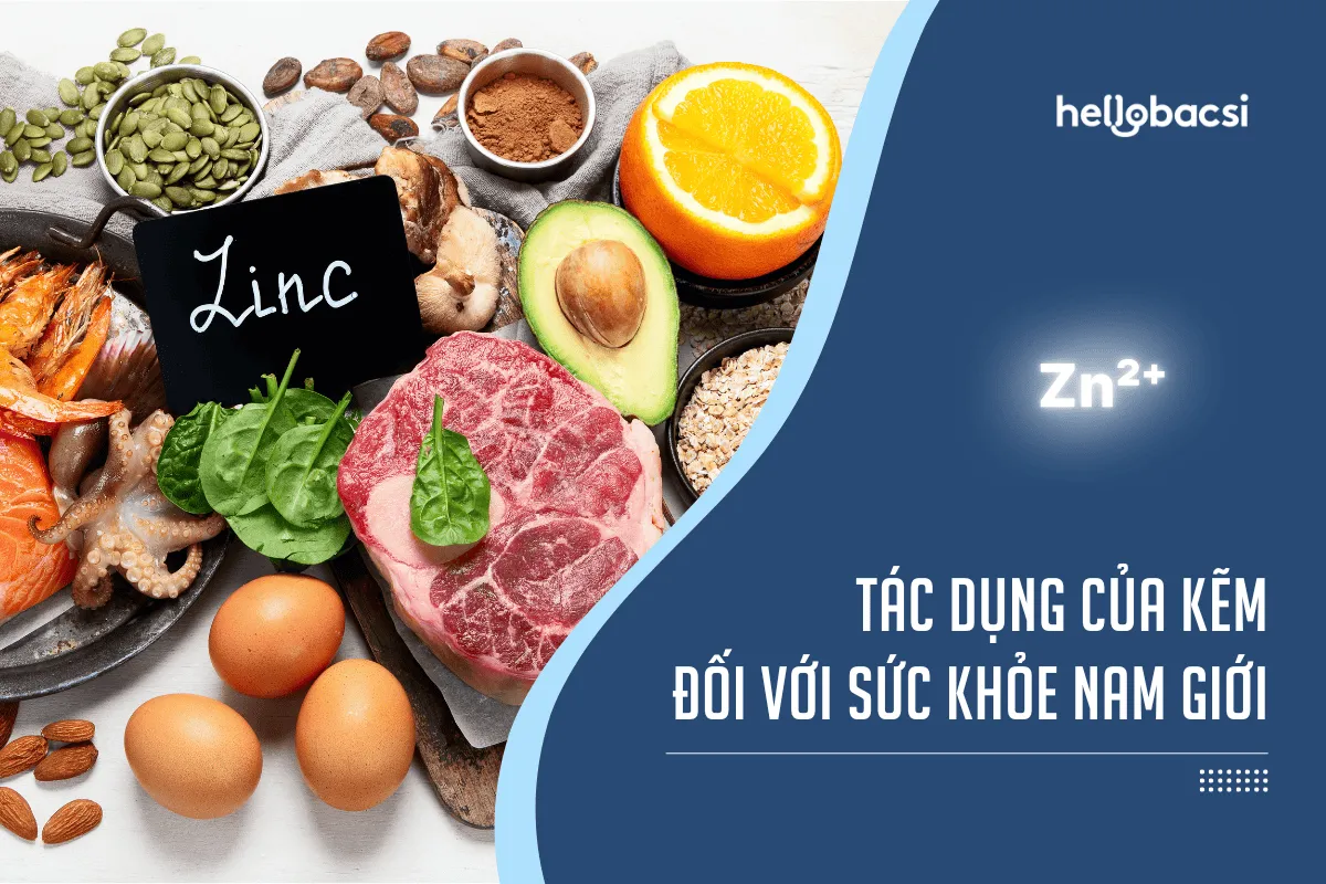 Kẽm có tác dụng gì với nam giới? Riêng đối với nam giới, kẽm có tác dụng giúp tăng cường và cải thiện các chức năng sinh lý rất tốt
