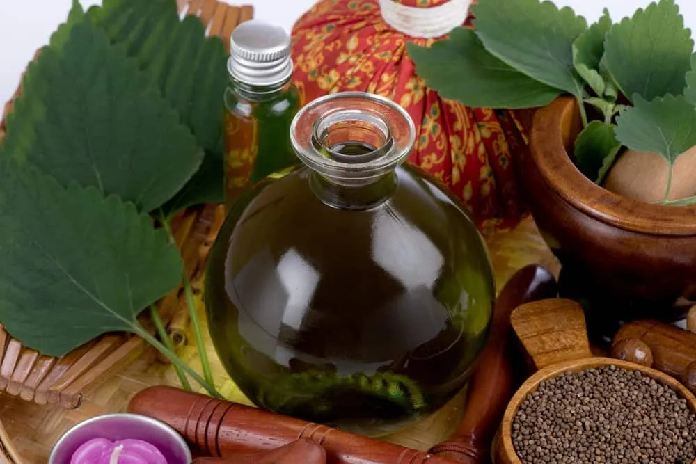 mặt nạ tía tô trị nám