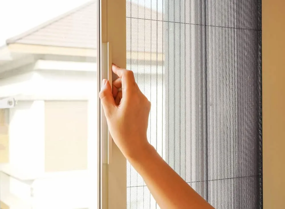 trẻ bị kiến ba khoang đốt