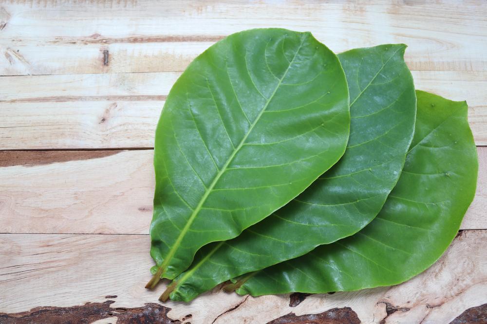 có nên ngâm vùng kín bằng nước muối