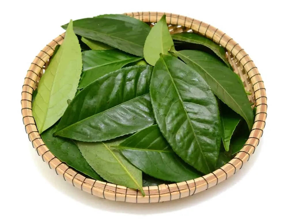 có nên ngâm vùng kín bằng nước muối