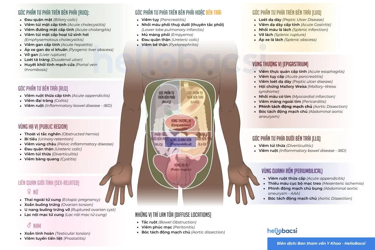 nguyên nhân đau bụng âm ỉ từng vị trí