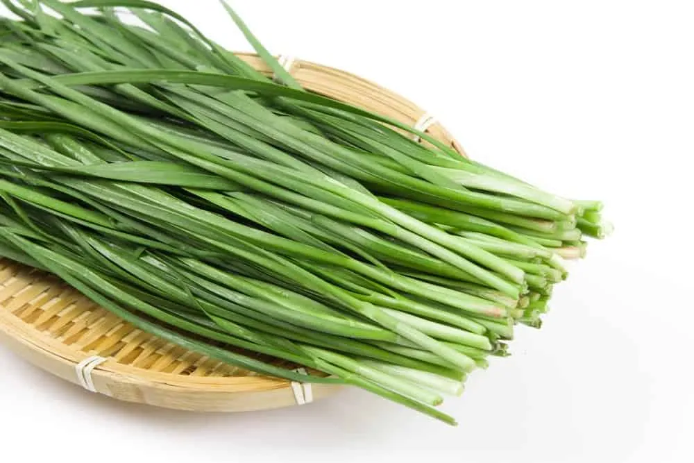 mật ong kỵ với gì? Mật ong kỵ hẹ