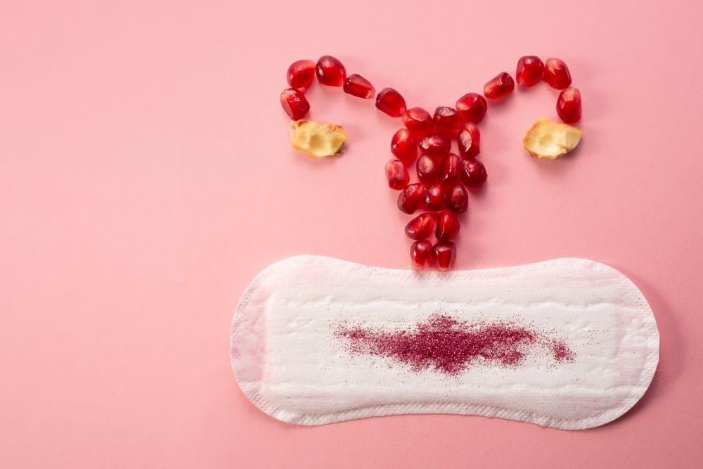 nội tiết tố nữ là gì