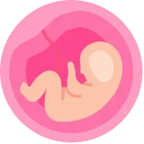 Theo Dõi Cử Động Thai Nhi