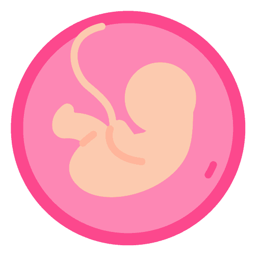 Tam cá nguyệt 2 (3 tháng giữa)