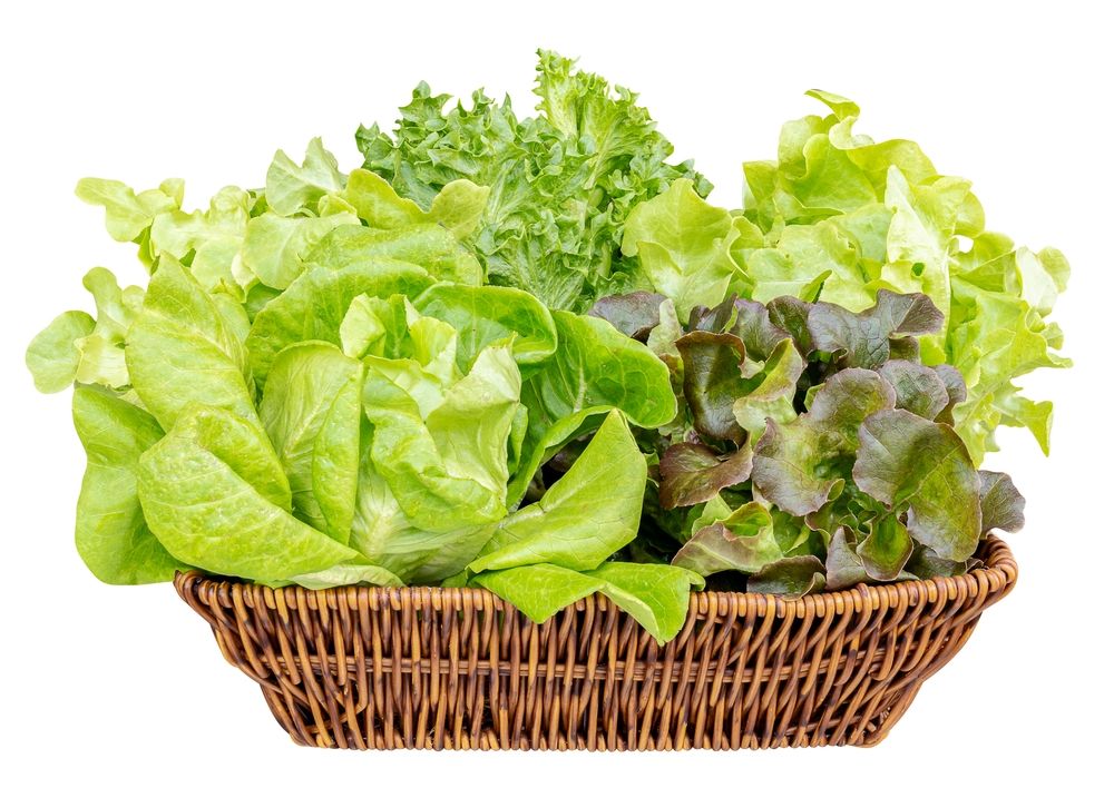 cách làm nem nướng