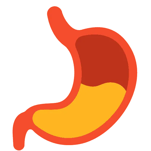 Vấn đề về tiêu hóa